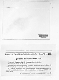 Image Associated With the Occurence